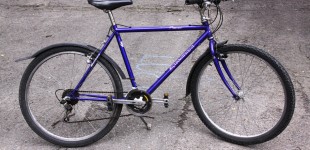 Pacer, the bike